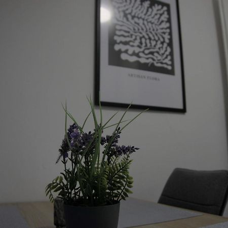Swan Apartments Nuremberg Ngoại thất bức ảnh